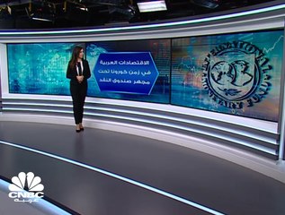 كيف يرى صندوق النقد آفاق النمو الاقتصادي في الدول العربية خلال 2020-2021؟