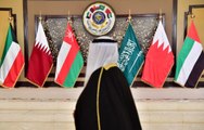 محادثات عربية وغربية مثمرة جرت خلال الفترة الماضية لحل الأزمة الخليجية