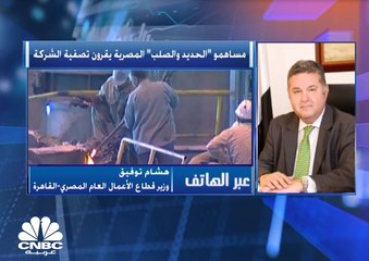 مليارا جنيه تعويضات للعاملين في الحديد و الصلب المصرية