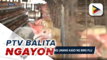 Isabela, nakapagtala ng unang kaso ng bird flu