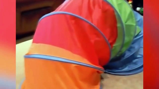 COMEDIA - RISAS - BROMAS - HUMOR -VIRAL NUMERO 6