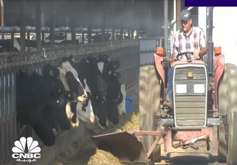 الذرة يتجاوز مستويات الـ 7 دولار للمرة الأولى منذ 8 سنوات