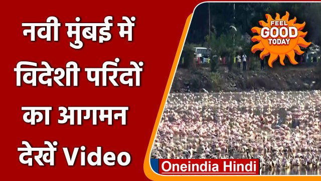 Mumbai के मेहमान बनकर आए ये खूबसूरत प्रवासी पक्षी | Migratory birds | navi mumbai | वनइंडिया हिंदी