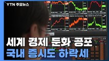 '경제 둔화 공포'에 국내 증시도 하락...환율은 급등 / YTN