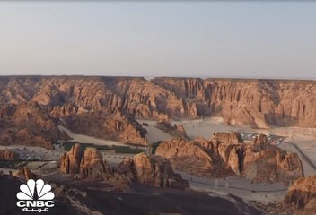 100 ألف شجرة من البان العربي في محافظة "العلا" السعودية