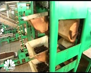 الصناعات الغذائية المحلية دعمت الأمن الغذائي بالسعودية خلال جائحة كورونا