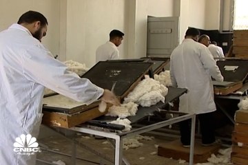 الذهب الأبيض المصري يستعيد عرشه من جديد