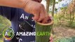 Amazing Earth: Pinoy bamboo cooking