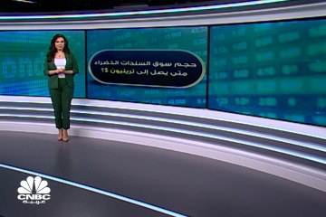 دول عربية تستعد لدخول سوق السندات الخضراء خلال الفترة القادمة