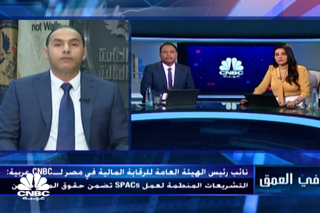 نائب رئيس الهيئة العامة للرقابة المالية المصرية...