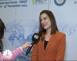 وزيرة الطاقة والتجارة والصناعة القبرصية لـCNBC عربية: هناك اجتماعات ثنائية بين قبرص ومصر لتطوير البنية التحتية