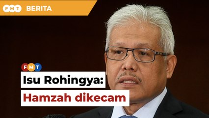 Hamzah dikecam kerana minta Rohingya kembali ke negara asal