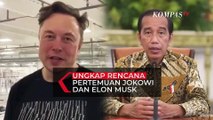 Menko Luhut Ungkap Rencana Pertemuan Presiden Joko Widodo dan Elon Musk