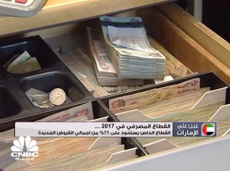 القطاع الخاص يستحوذ على 71% من إجمالي القروض الجديدة