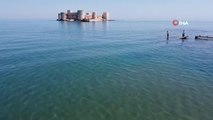 Akdeniz sahillerinden sevindiren haber: Sayıları günden güne azalıyor