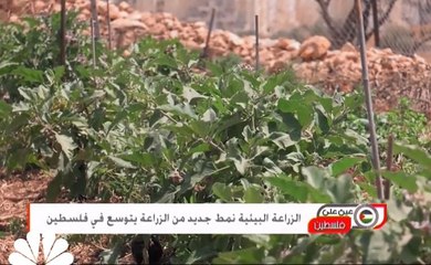 المؤسسة المصرفية وصندوق التنمية في طريقهما للاندماج