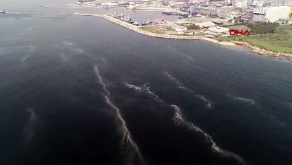 İstanbul'da yeniden deniz salyası istilası