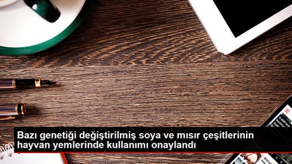Bazı genetiği değiştirilmiş soya ve mısır çeşitlerinin hayvan yemlerinde kullanımı onaylandı