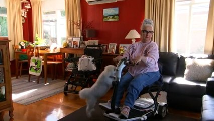 Virtual health care program to help patients at home