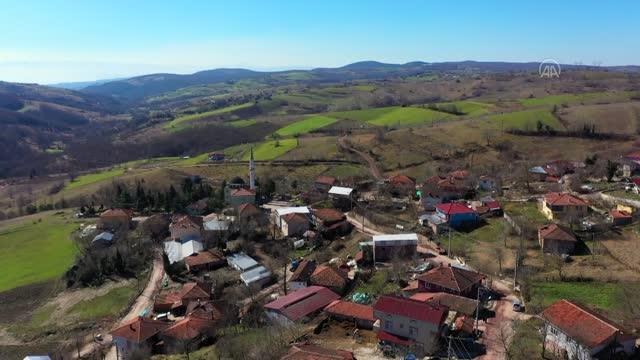 TÜRKİYE'NİN EKMEK KÜLTÜRÜ - Kocaeli'nin ekşi mayalı teneke ekmeği kırsalda yaşatılıyor