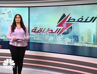 تقييد حجم الإمدادات يخفض حصة أوبك في السوق النفطية إلى 30% وهي الأدنى منذ حوالي العقد