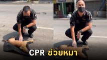 ทุกชีวิตมีค่า ! ตำรวจ CPR หมาโดนรถชน หายใจรวยริน เลือดออกปาก ต่อชีวิตปาฏิหาริย์