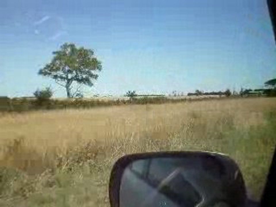 Début du Bush