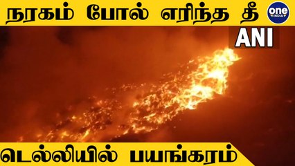 Delhi-ல் ஏற்பட்ட பயங்கர தீ விபத்து..  விடிய விடிய போராடிய தீயணைப்பு வீரர்கள் | Tamil Oneindia