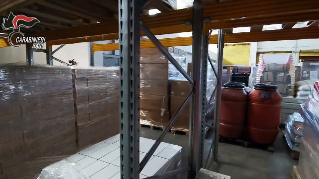 Molfetta, colpo del cane antidroga Fighter: scoperti 56 chili di sostanze stupefacenti