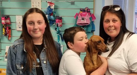 Irchester family reunited with missing dog