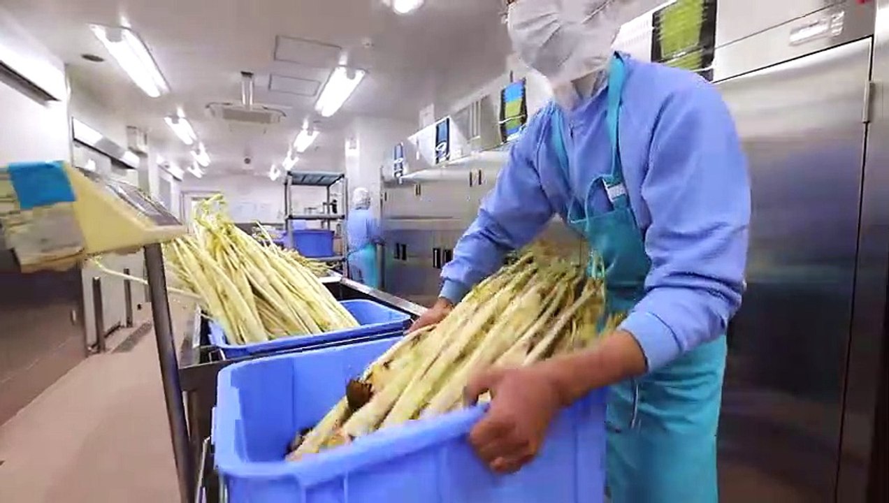 How School Lunches are Made in Japan