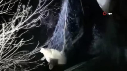 Konya'da baraj gölüne balık avlamak için serilen ağlar toplandı