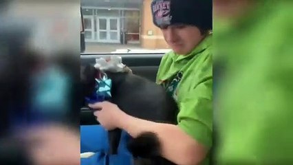 Videos That Will Make You Smile - Restoring Faith in Humanity 42