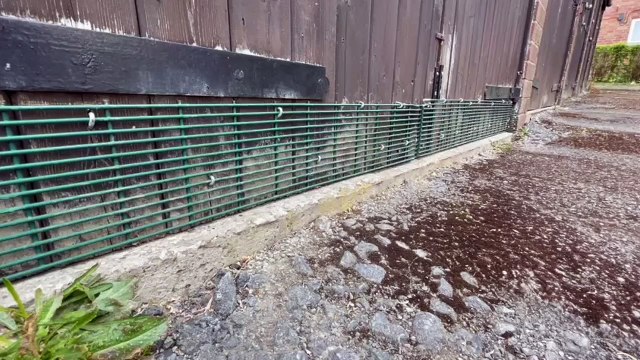 Maureen Scott, chairman of Firshill TARA, looking angry next to the garages where she says there are rats . She says they're eating through the garage doors, but council says she will have to pay for work to sort this herself, even though the council ow