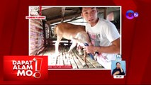 Dapat Alam Mo!: 21-anyos na binata, nakapagpundar na ng sariling goat farm!