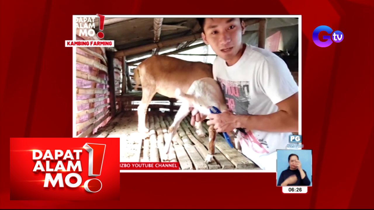 Dapat Alam Mo!: 21-anyos na binata, nakapagpundar na ng sariling goat farm!