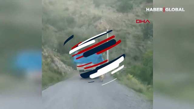 Kamyonun arkasına bağladığı köpeği saatlerce çekti: Vicdansız sürücü kamerada!