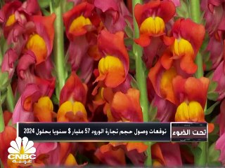 عيد الحب.. أزهار ودولار!