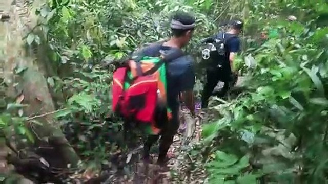 L'ex taglialegna illegale ora protegge le foreste del Vietnam