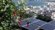 Projetos de energia solar reduzem contas de luz em favelas do Rio