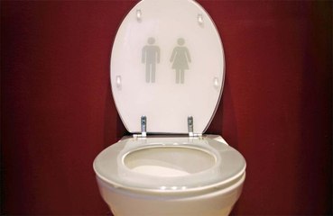 Woman falls down toilet while trying to reach her phone