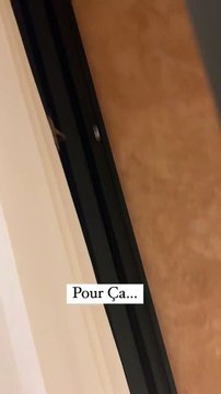 Vitaa et ses enfants font face à une sauterelle chez eux @ Instagram / Vitaa