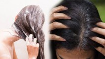Daily Hair Wash से बाल सफेद होते है क्या | रोज बाल धोने से क्या होता है | Boldsky