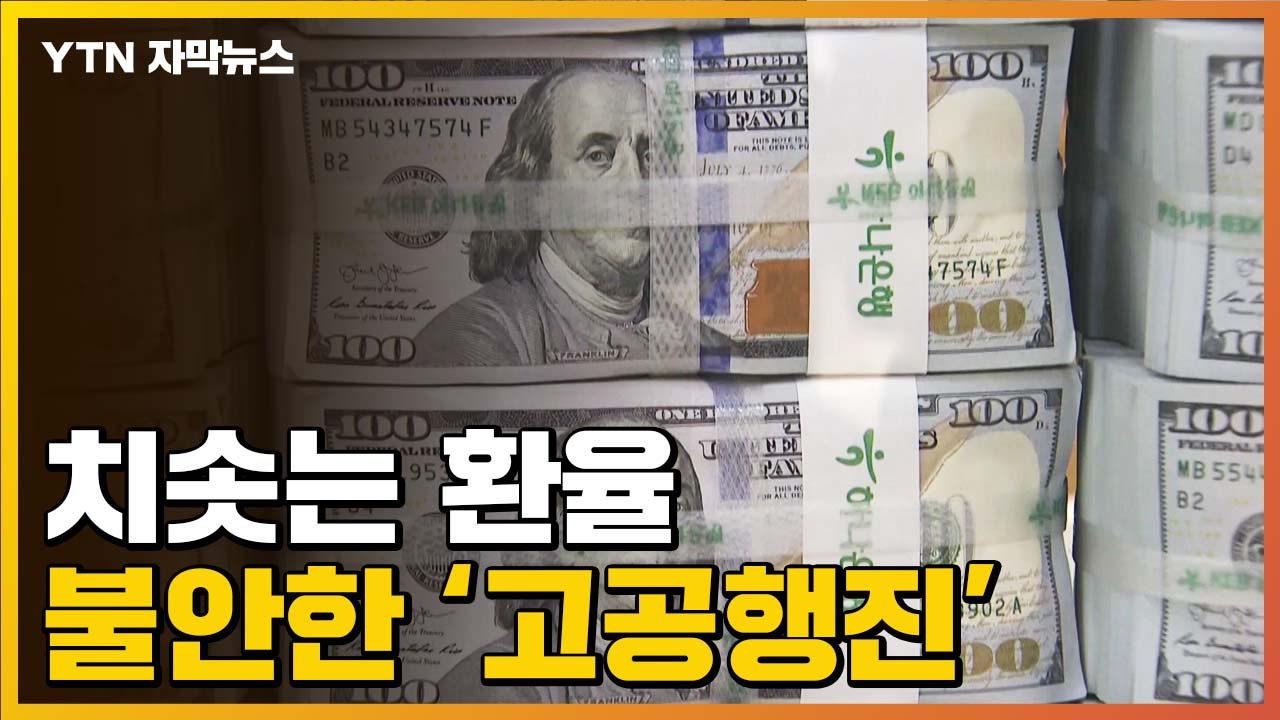 [자막뉴스] "심리적 저항선도 뚫렸다"...환율 폭등에 위기 닥친 금융시장 / YTN