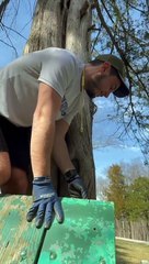Couple Rescues a Baby Owl That Had Fallen out of its Hollow