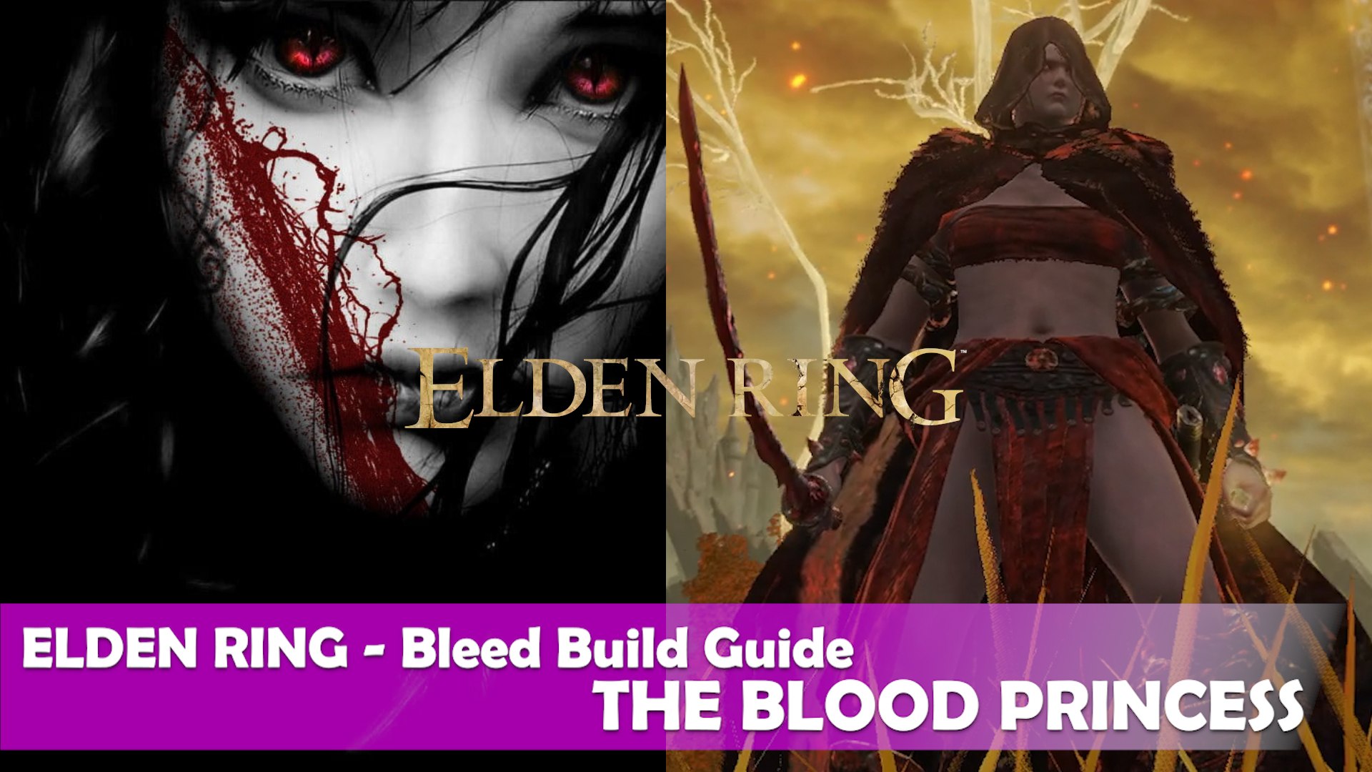Elden Ring - Bleed Build Guide - THE BLOOD PRINCESS - video Dailymotion