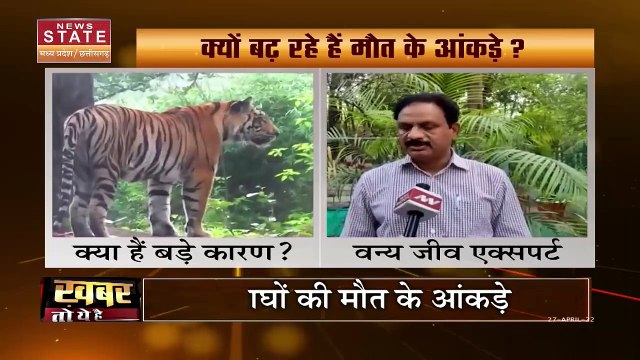 Madhya Pradesh News : Madhya Pradesh में बाघों के मौत का आंकड़ा बना चिंता का विषय | Tiger Death |
