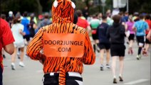 Vienna City Marathon 2022 - Impressionen