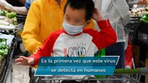 ¿Es peligrosa la cepa H3N8 de la gripe aviar que contagió a un niño en China?