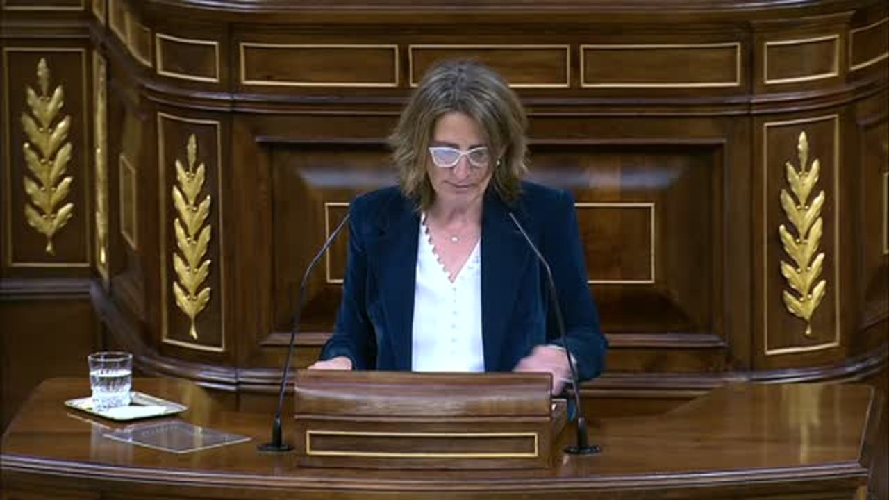 Ribera: "Es más importante pensar en los consumidores que en los beneficios de las compañías"